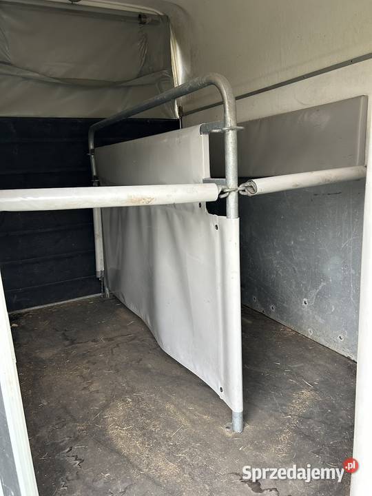 Przyczepa do koni Cheval Libert Gold Łomża