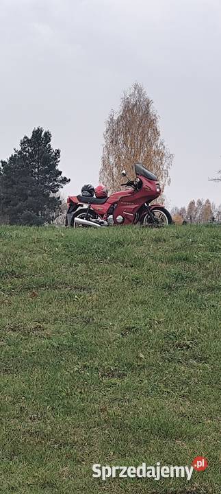 Honda CB900 F Boldor