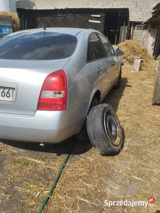Nissan Primera p12 Sawin