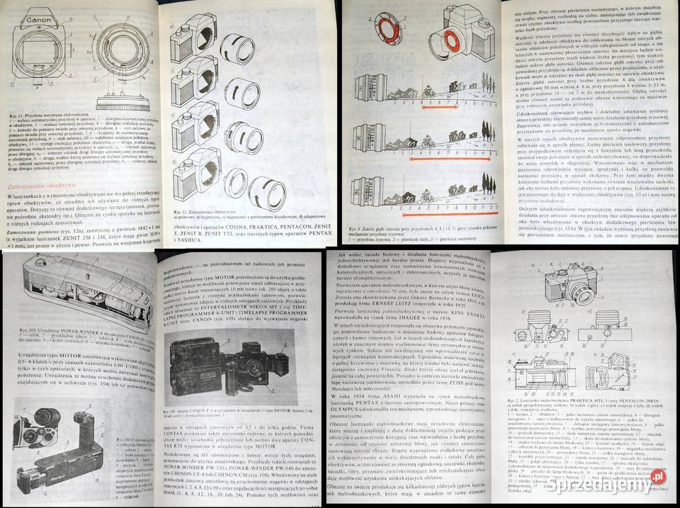 Lustrzanki małoobrazkowe Wiesław Śmigielski