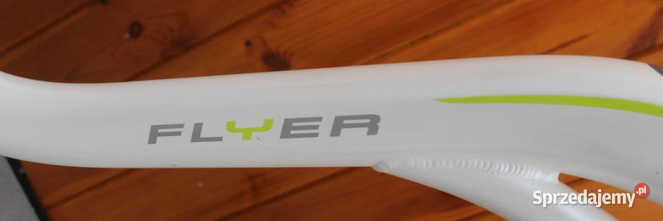 Rower elektryczny Flyer D 50 I inne rowery mazowieckie Milanówek