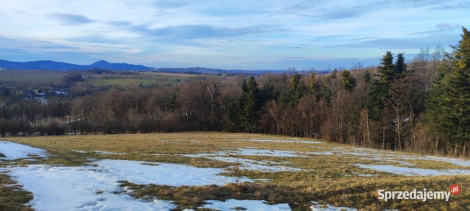 Sprzedam działkę małopolskie Wilkowisko sprzedam