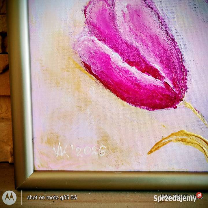 Wiosenne tulipany lubelskie