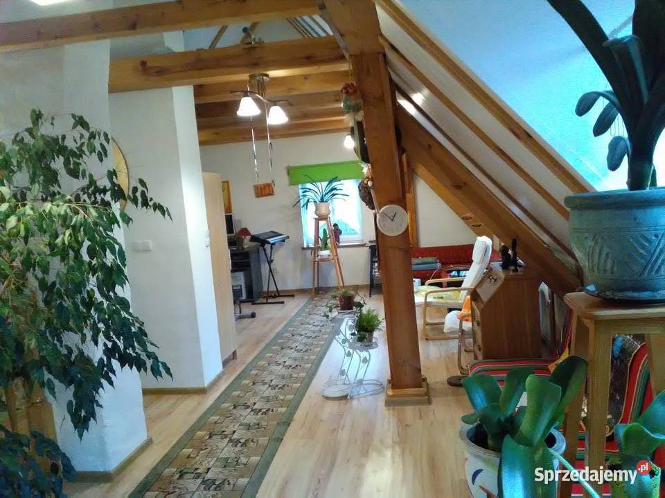 Raj artysty hobbysty dom pod lasem Mirosławiec