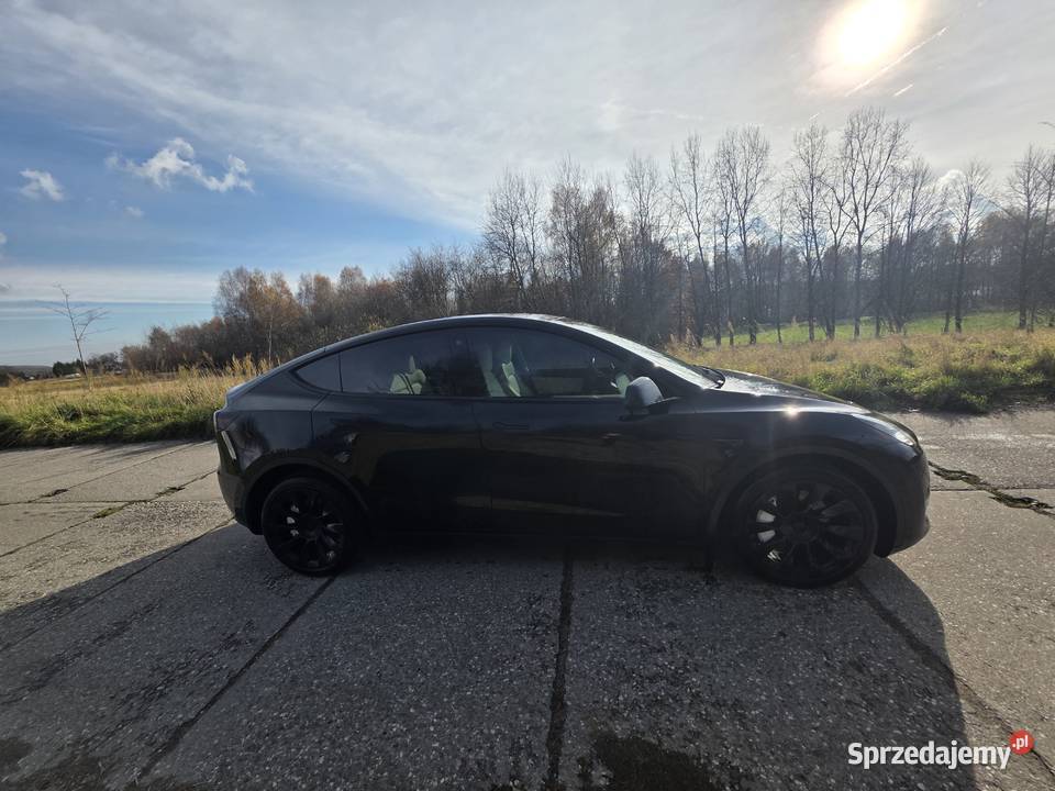 Tesla Y w wersji 534 Dual Motor AWD małopolskie Chrzanów sprzedam