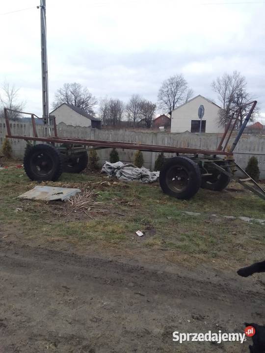 Platforma do bel sprzedam