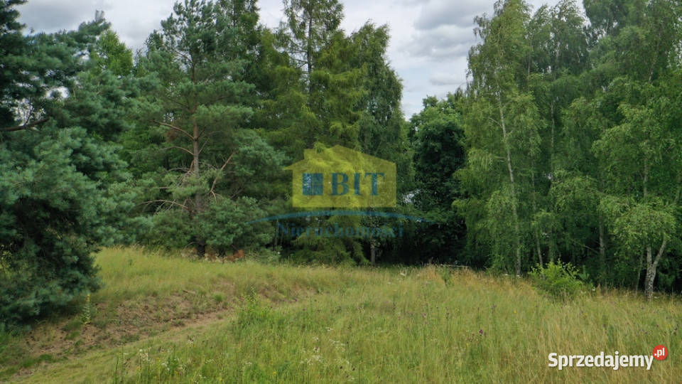 Działka 9800m2 z dostępem do Jeziora Siecino asfalt