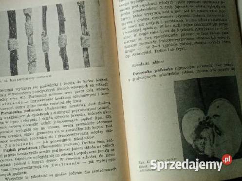 Drzewa karłowe S Zaliwski 1965 rolnictwo Łódź sprzedam