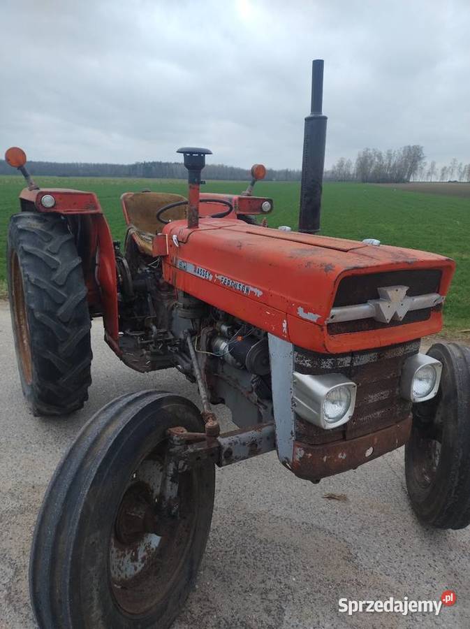 Massey Ferguson 240 i 135 zamiana Przasnysz sprzedam