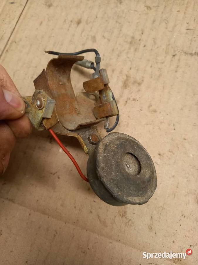 Klakson komar sztywniak mazowieckie Sokołów Podlaski