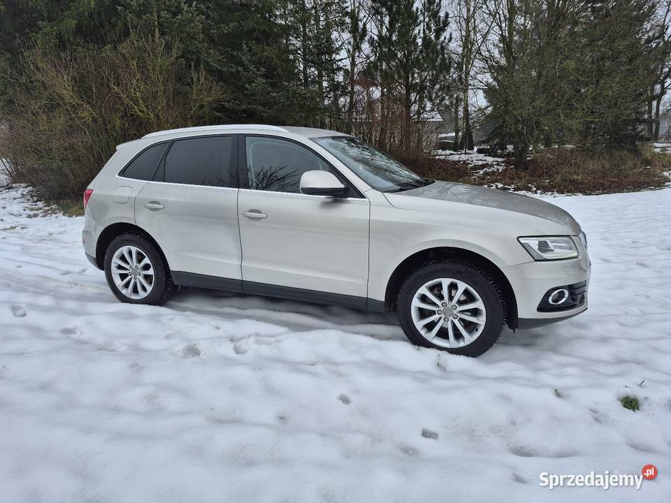 Audi Q5 8R Lift czujnik parkowania Mosina