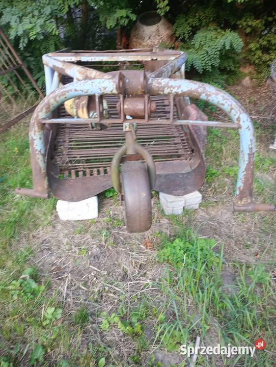 Elewatorowa kopaczka do ziemniaków Charbice Dolne
