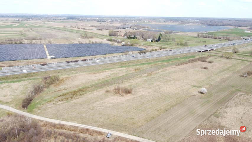 sprzedaży gruntu 5502m2 Krzeczów sprzedam