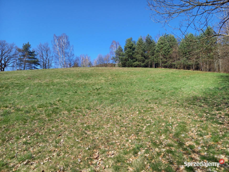 Na sprzedaż działka w Sanoku w dzielnicy 3050m2 Sanok