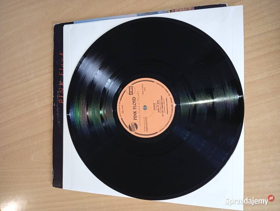 Pink Floyd Delicate Sound Of Thunder Hungary Rumia