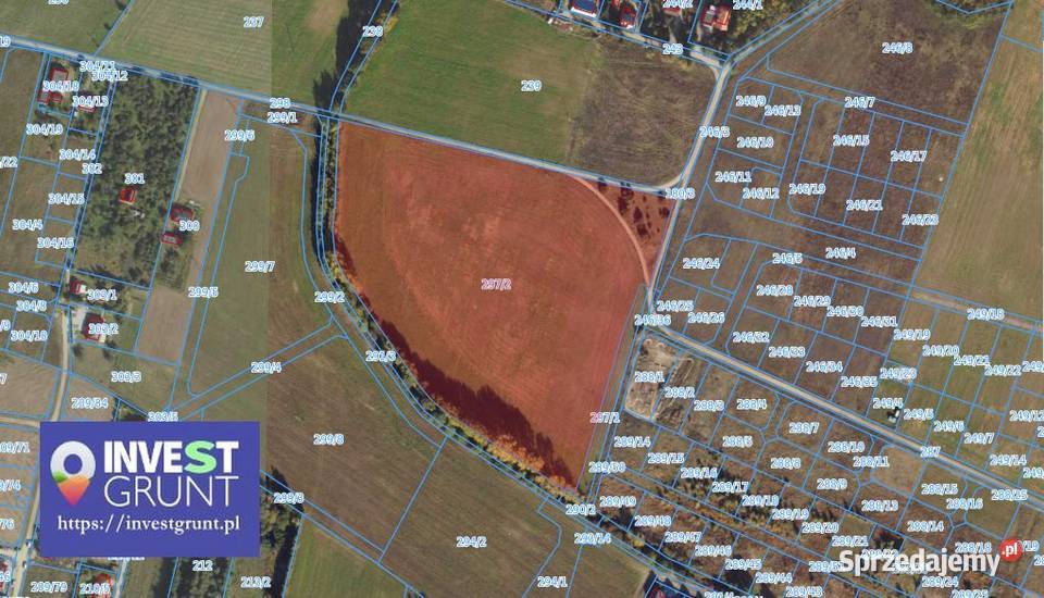 433 ha grunty rolne przetarg na dzierżawę rolna Maksymilianowo
