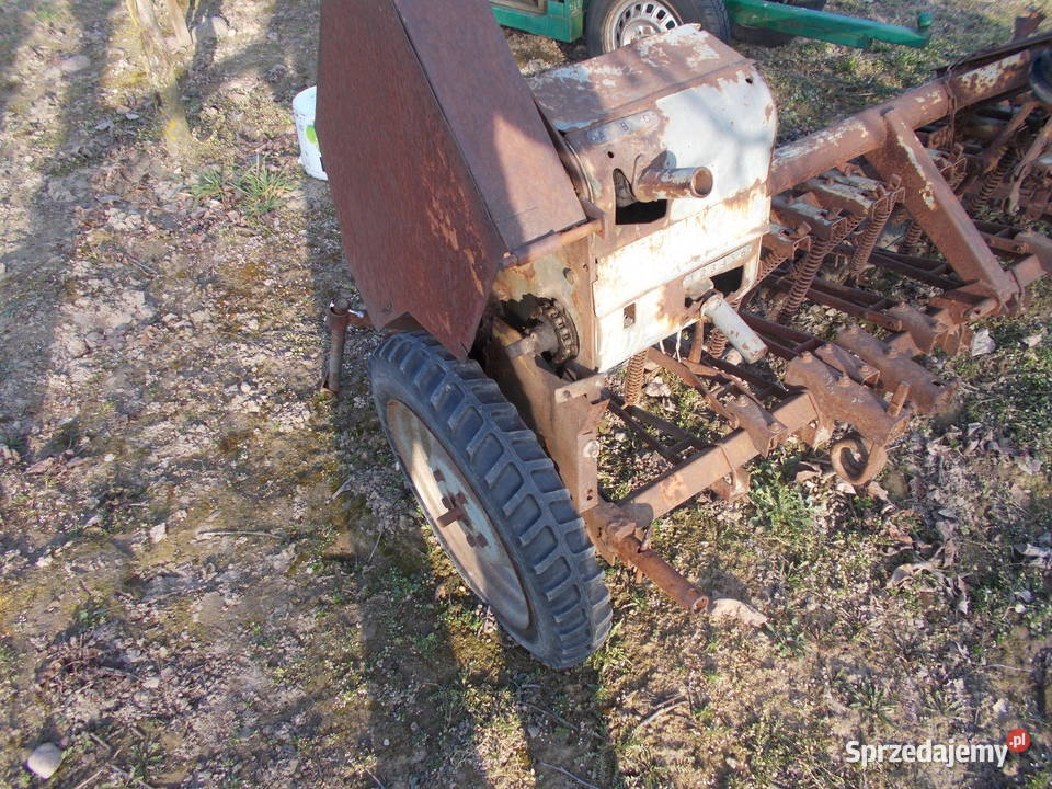 siewnik poznaniak Sochaczew