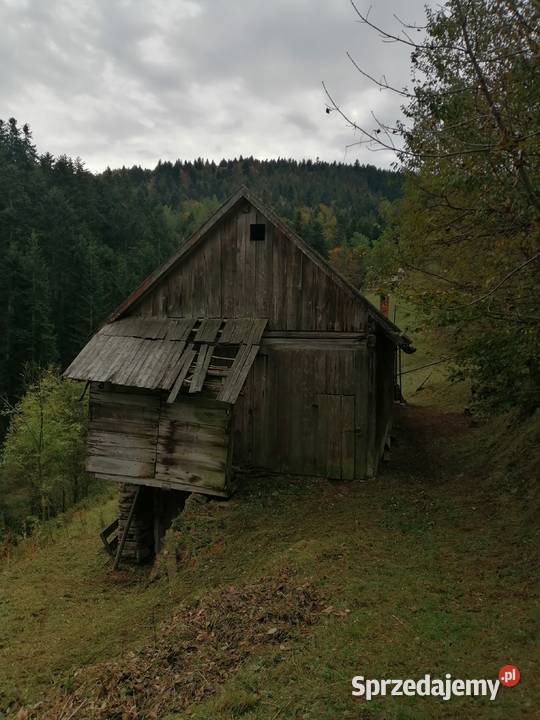 Dom drewniany Sprzedaż małopolskie Piwniczna-Zdrój