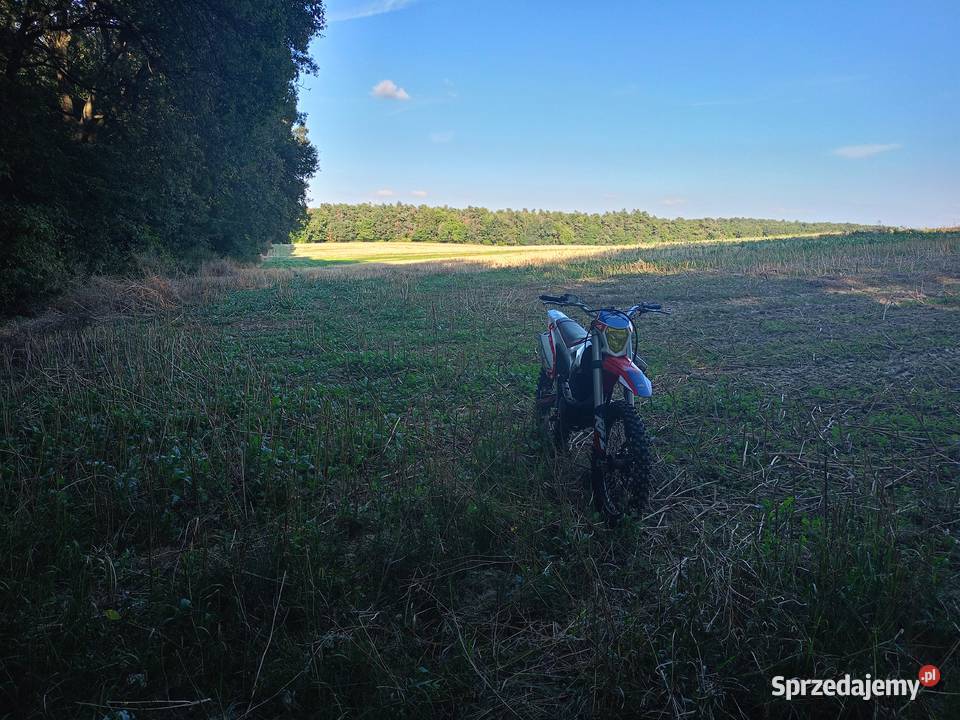 Rfz lizzard 250 Xmotos