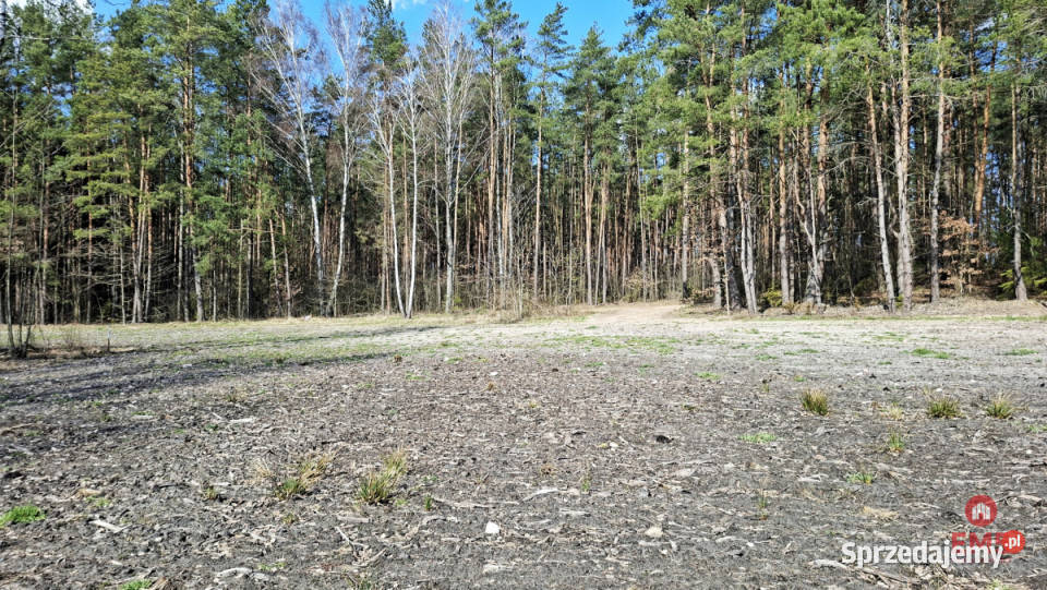 Działka na sprzedaż Solniczki 1109m2 1109m2