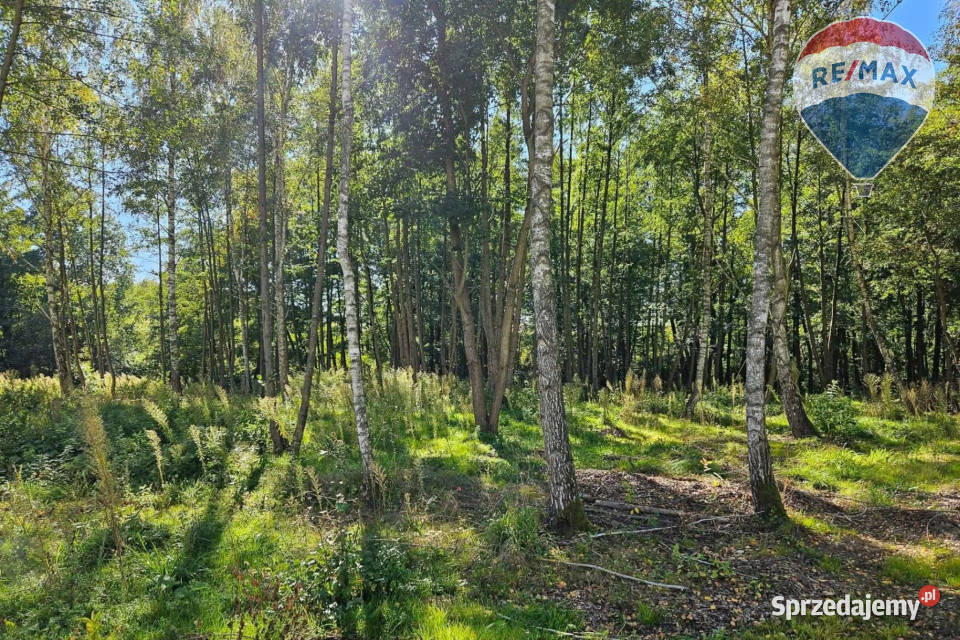 Działka budowlana 2292m2 z lasem rzeczką 85m Musuły sprzedam