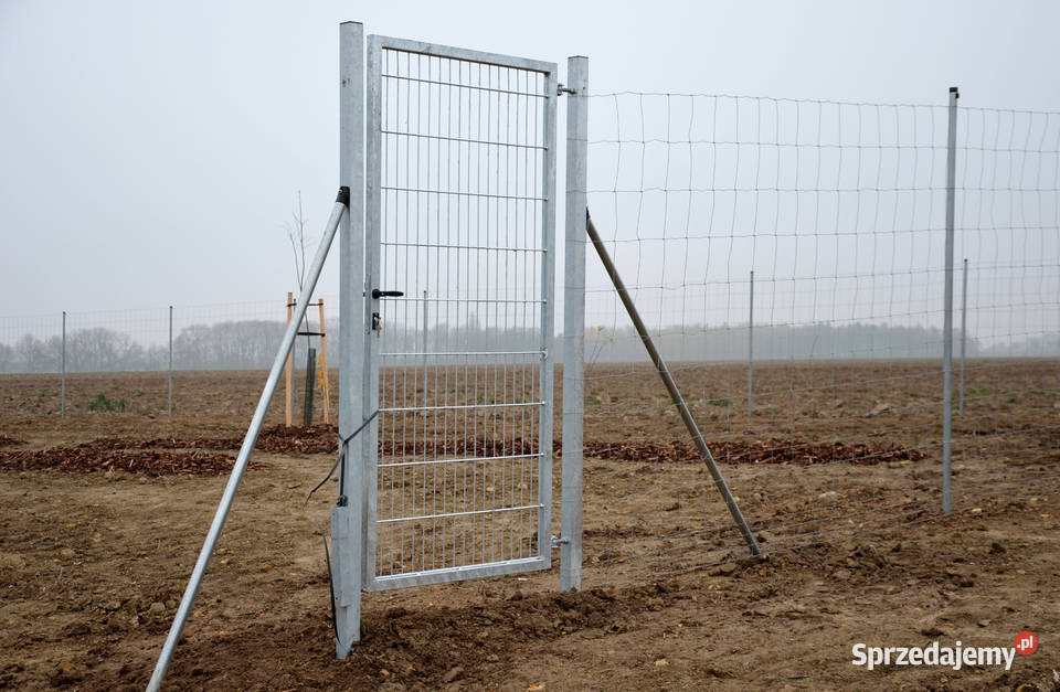 Siatka ogrodzeniowa leśna 1602315 L Kury Sarny Ostrołęka sprzedam