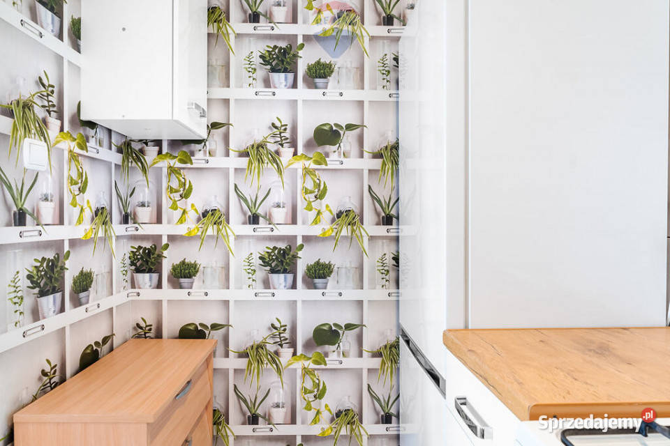 Dwupokojowe mieszkanie Głogowska Poznań