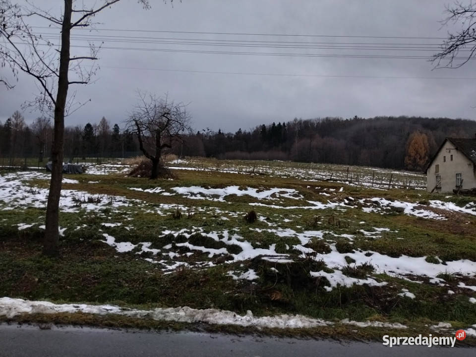Sprzedam Działkę Budowlaną 163zł/m2 śląskie Górki Wielkie