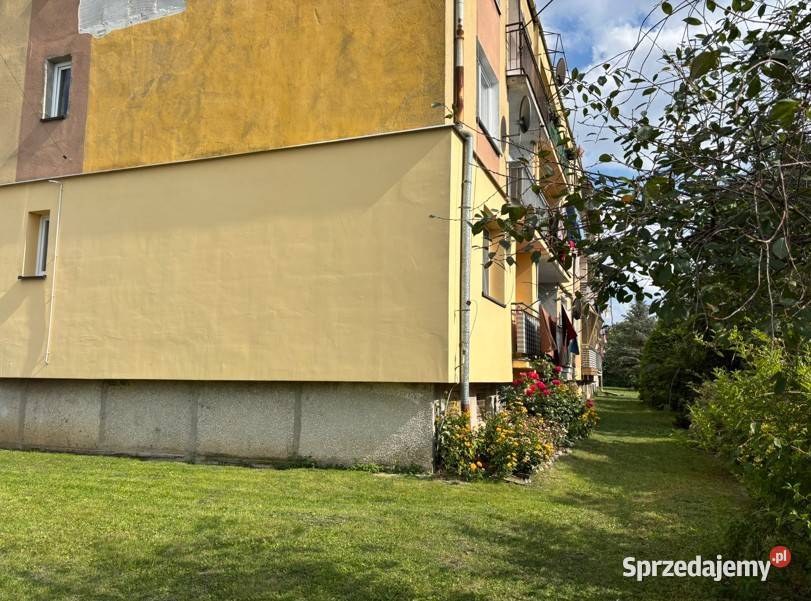 Mieszkanie 2 pokojowe 566 m2 2 piętro Trynosy Trynosy-Osiedle