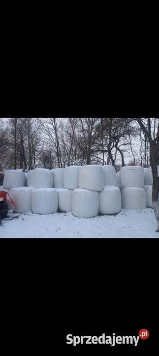 Sprzedam sianokiszonkę Maksymilianów