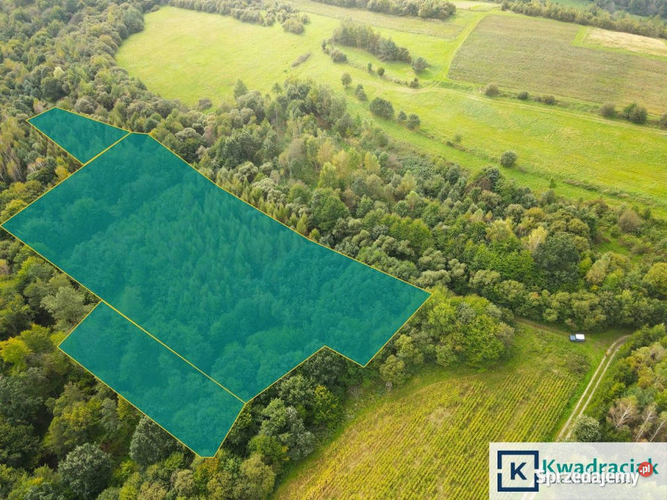 Działka 23000m2 Witryłów