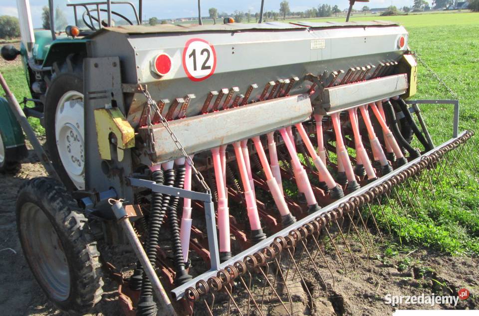 siewnik poznaniak Krotoszyn