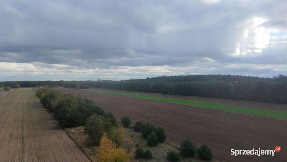 DZIAŁKA BUDOWLANOINWESTYCYJNA Józefowo gmina Piotrowice