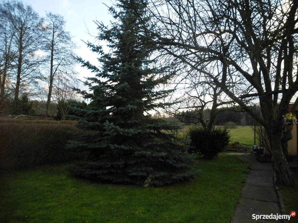 Działaka rekreacyjna Lipniki utwardzona