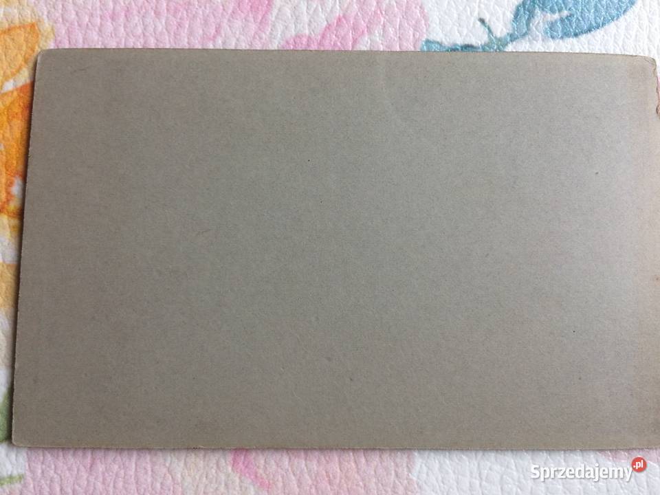 1241 SULĘCIN Niemieckie Zdjęcie Kartonikowe zachodniopomorskie Szczecin sprzedam