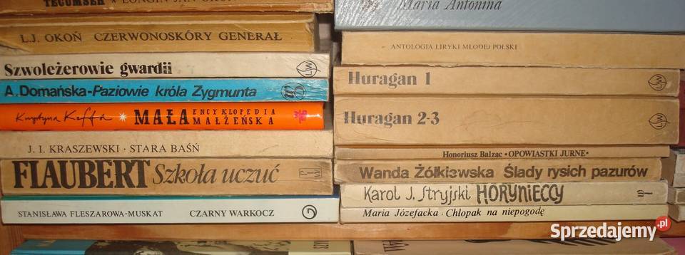 Książki literatura js Osięciny