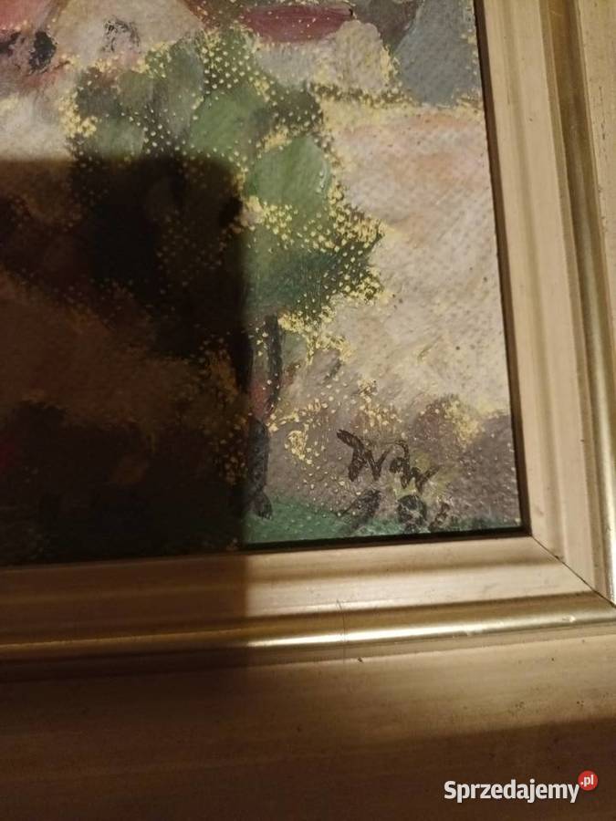 Zabudowy wiejskie wśród drzew w otoczeniu Bielsko-Biała