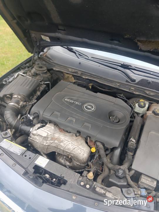 Opel Insignia 20 TDCi 160 Parczew
