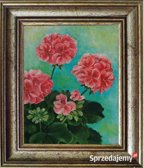 Obraz olejny Pelargonie wielokolorowy Lublin