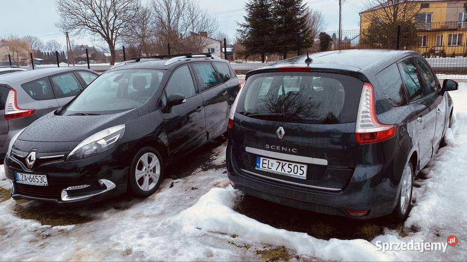Renault Scenic Zamość