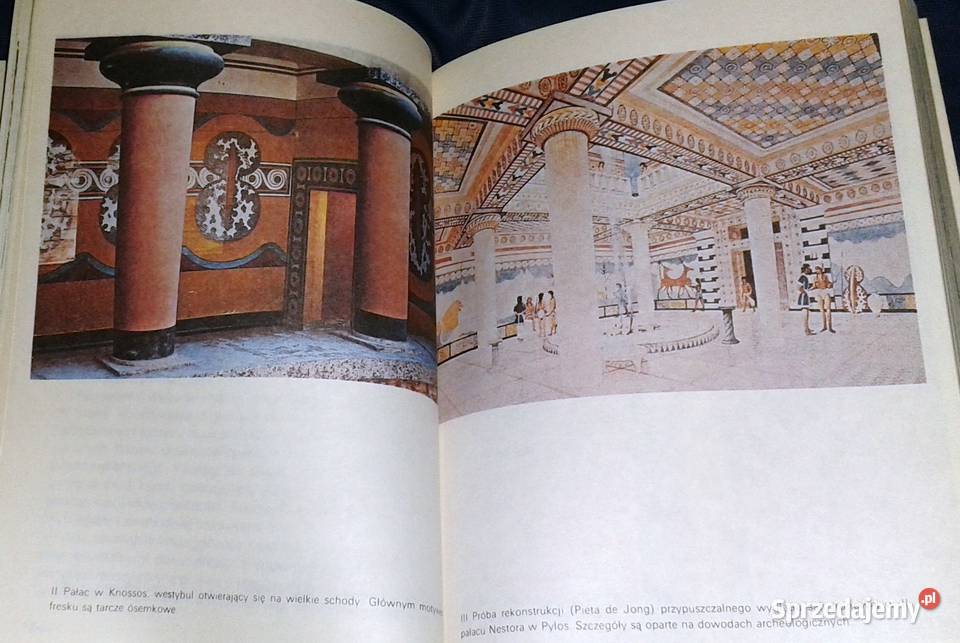 Homer i epoka heroiczna J V Luce sprzedam