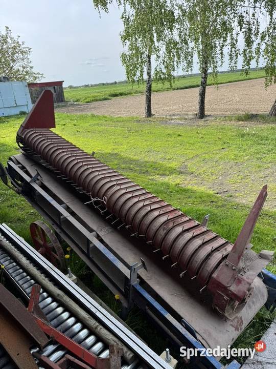podbieracz do bizona do rzepaku podbierak bizon Do kombajnów Strzydzew