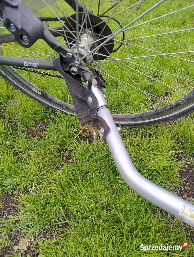 Przyczepka rowerowa Qeridoo Sportrex 1