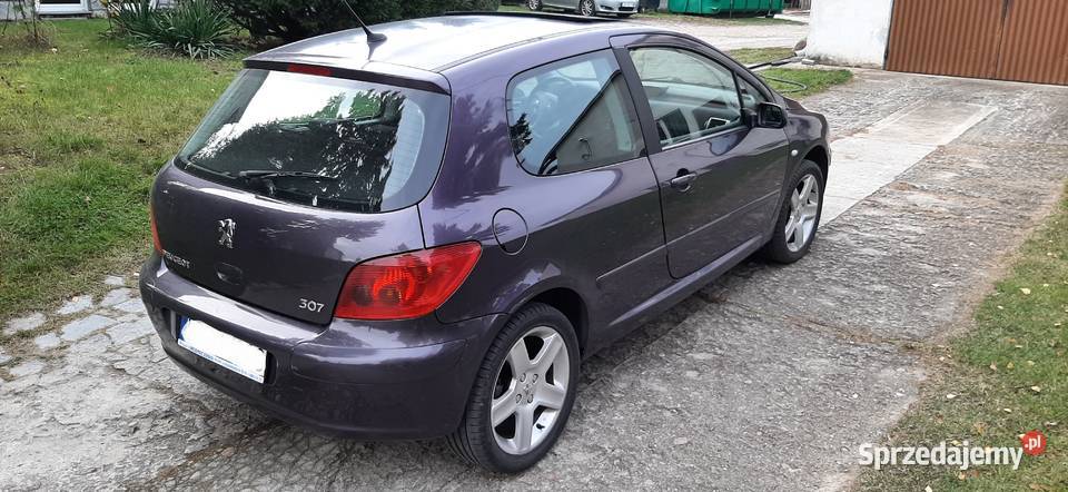 Peugeot 307 Sport S16 20 140 2002 Alu 17 Sprawny ABS lubelskie Nałęczów sprzedam