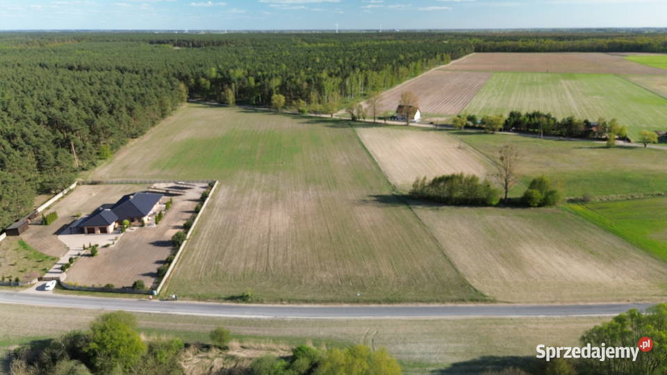 UROKLIWE DZIAŁKI TUŻ LESIE LUBOCHNIA 1501m2