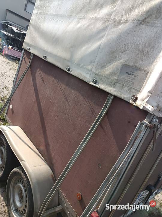 Przyczepa do przewozu koni Przyczepa do koni mazowieckie Przasnysz