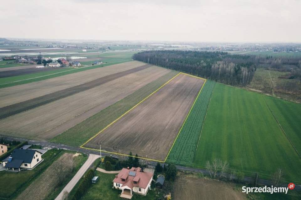 Sprzedam działki budowlane Graniczna woda Piotrków Trybunalski sprzedam