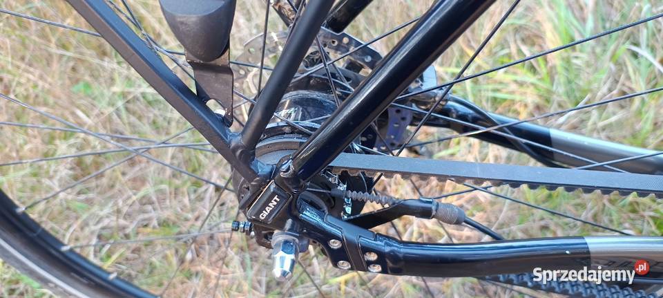 Rower Giant Any Tour CS