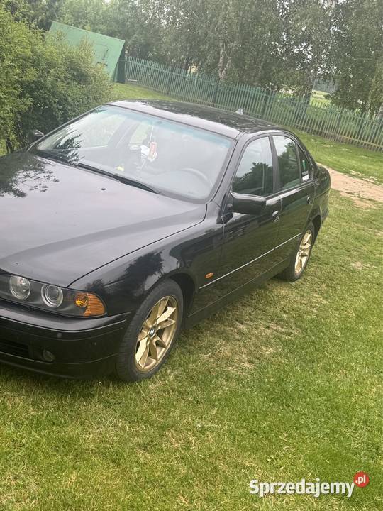 Sprzedam zadbane bmw E39 Zamiana nieuszkodzony Seria 5 Wysokie Mazowieckie