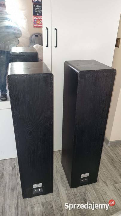 Kolumny podłogowe Canton Ergo 91 2x300Wat